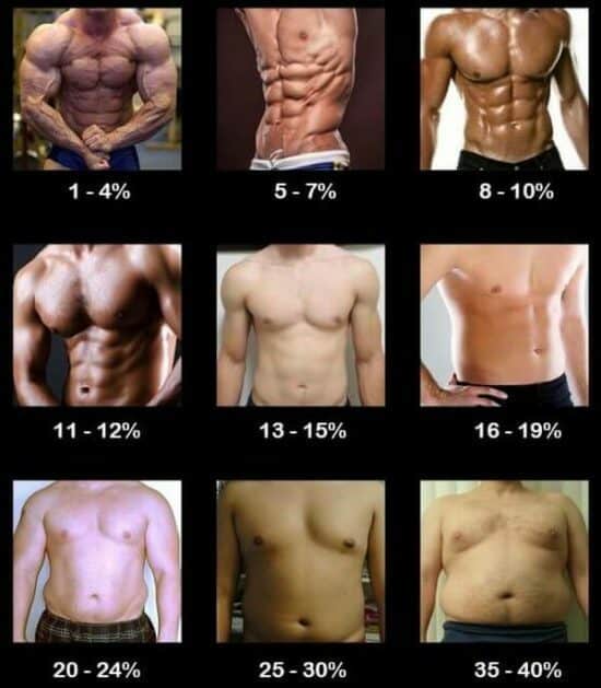 men body fat percentages