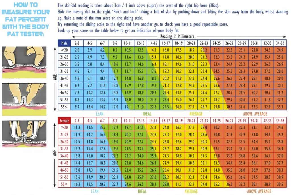 mens body fat percentages mens body fat percentages